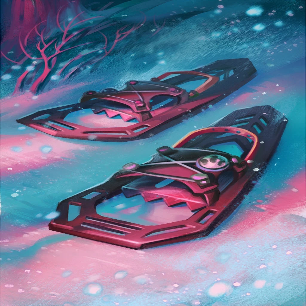 Snowshoes